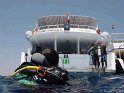 030427_Tobia Arba - Remontee de plongee sur Bateau - Dsc00859~